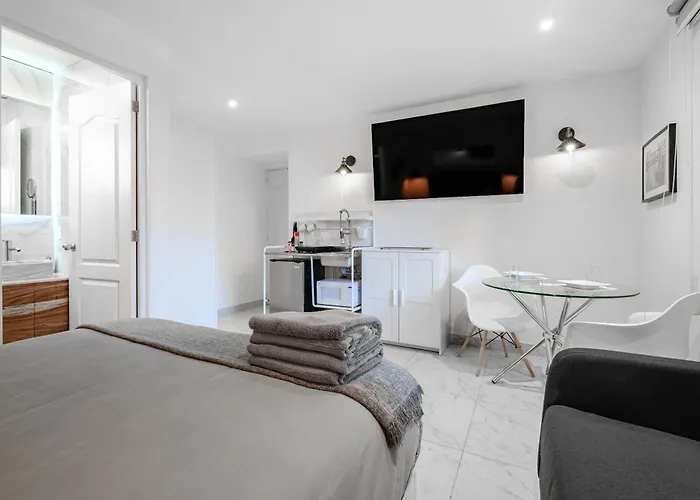 Apartamento Ejecutivas Polanco Anzures
