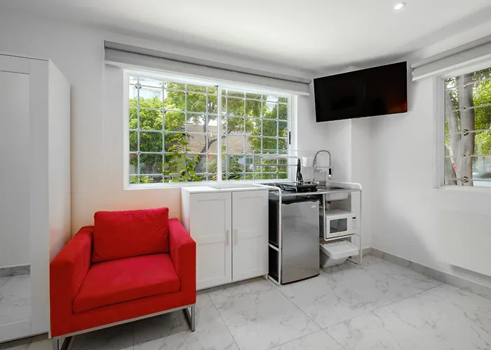 Ejecutivas Polanco Anzures