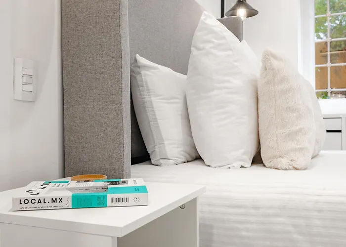 Apartamento Ejecutivas Polanco Anzures